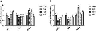 Protective Effects of Resveratrol and Apigenin Dietary Supplementation on Serum Antioxidative Parameters and mRNAs Expression in the Small Intestines of Diquat-Challenged Pullets